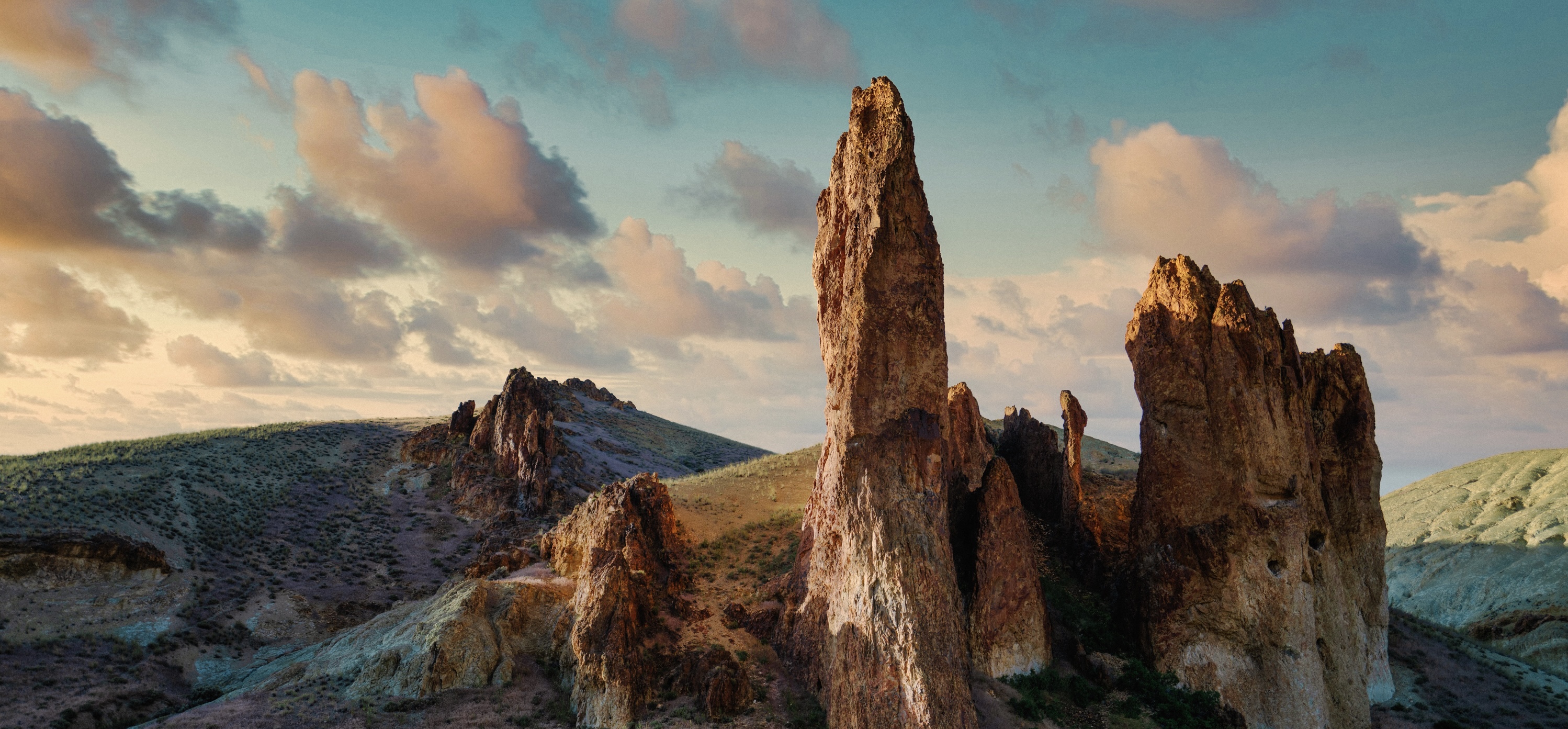 cover-image